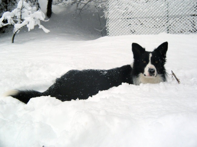 Prvi sneg 2007 - foto povečava