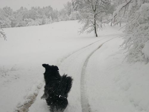 Zima - foto povečava