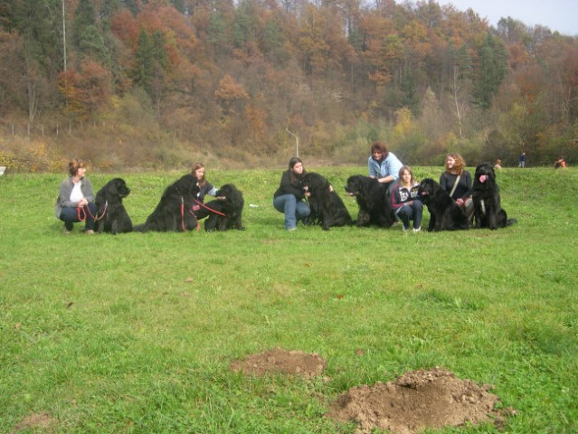 Buca, Soča, Ambra, Atum, Bruno, Biba in Neon