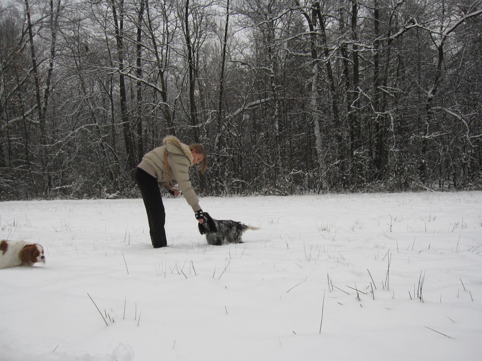 Bella&Charlie na snegu.. 29.11.2008 - foto povečava