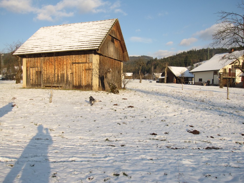 Bella na snegu 26.12.2008 - foto povečava