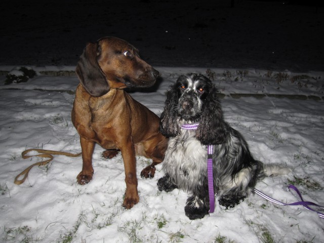 Bella&Murka - 27.12.2008 - foto