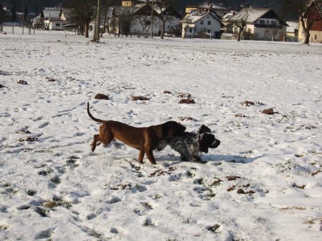 Bella&Murka - 28.12.2009 - foto