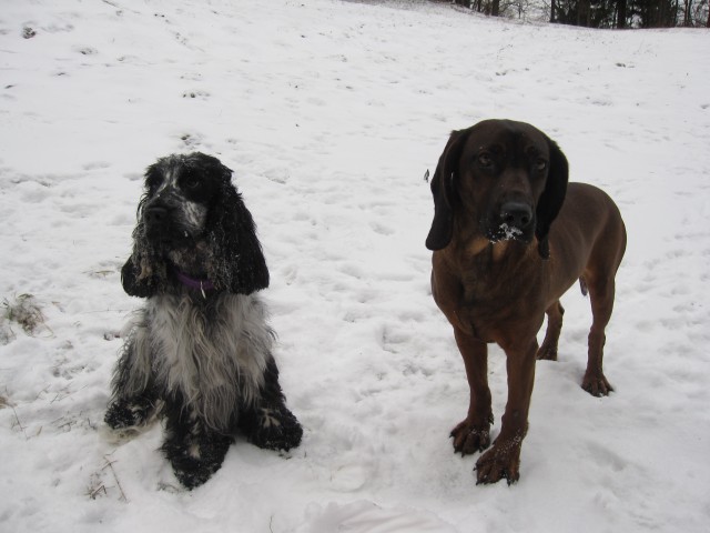 Bella&Murka - 29.12.2008 - foto