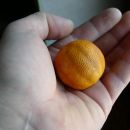 mini pomaranča..he he 