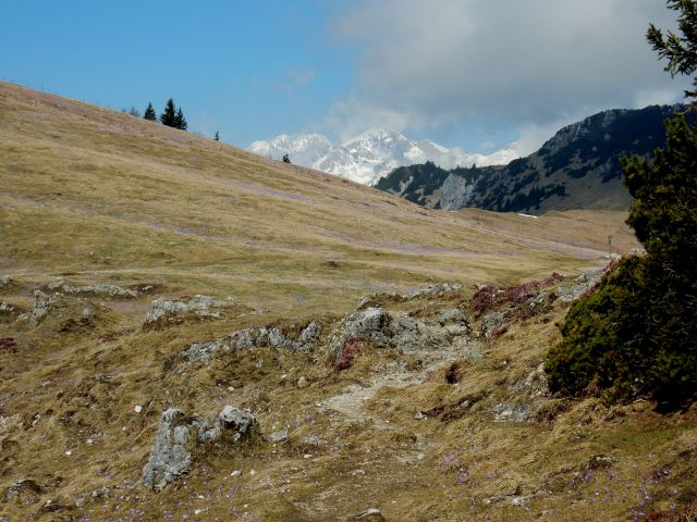 Velika planina,12.04.2016