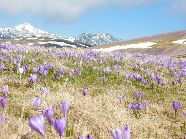 Velika planina,12.04.2016