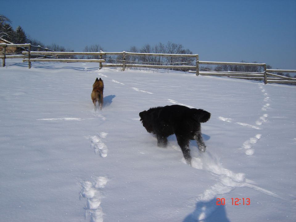 Zimske radosti, december 09 - foto povečava