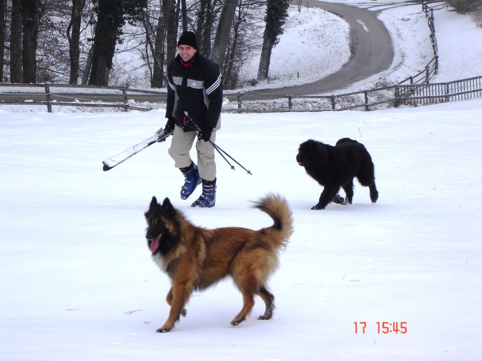 Zima, zima bela...jan 2010 - foto povečava