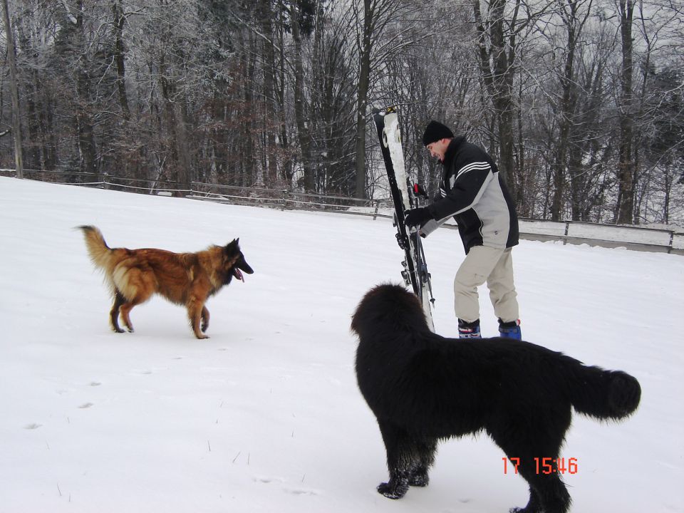 Zima, zima bela...jan 2010 - foto povečava