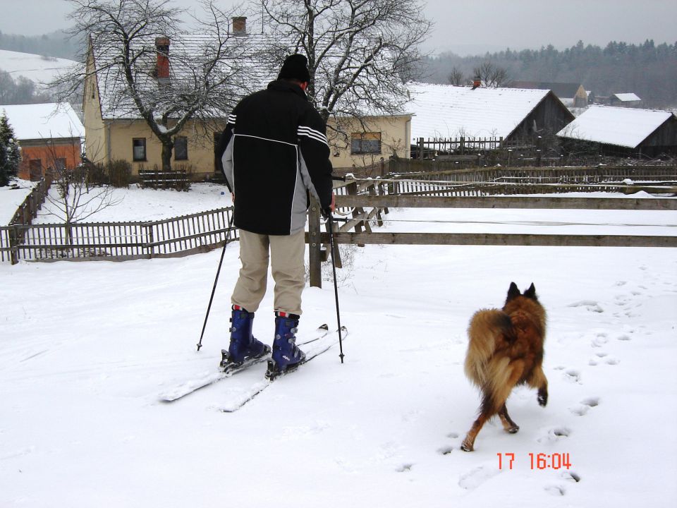 Zima, zima bela...jan 2010 - foto povečava