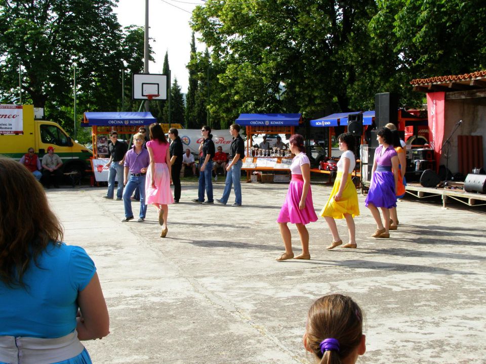 Gadji rejli junij 2010 - foto povečava