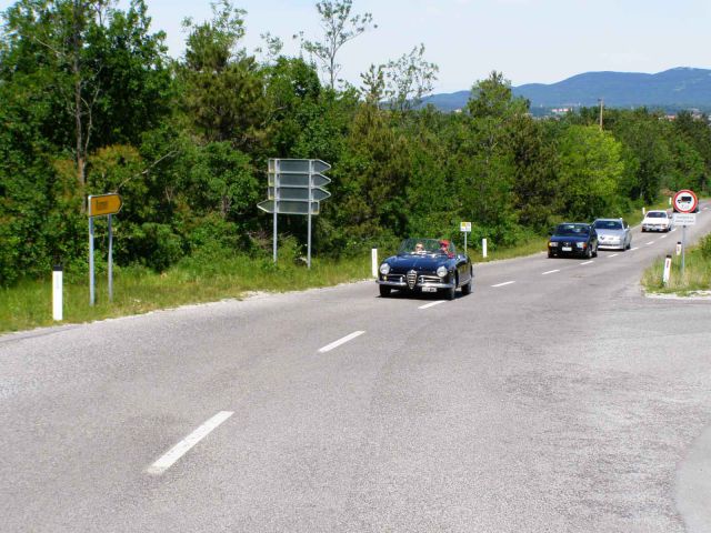 6. fešta Alfa-Romeo 29-05-2011 Kraški gadje - foto