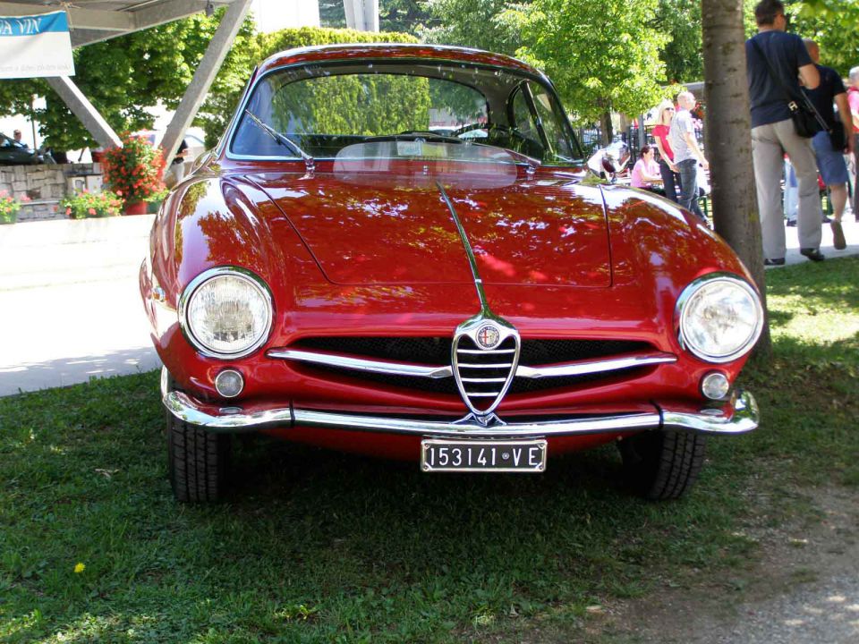 6. fešta Alfa-Romeo 29-05-2011 Kraški gadje - foto povečava