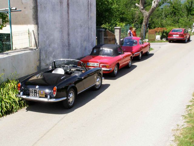 6. fešta Alfa-Romeo 29-05-2011 Kraški gadje - foto