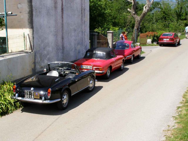 6. fešta Alfa-Romeo 29-05-2011 Kraški gadje - foto