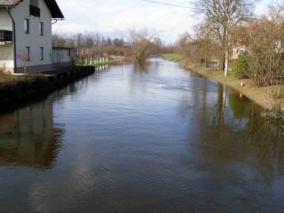 LJ Barje feb 2014 - foto povečava