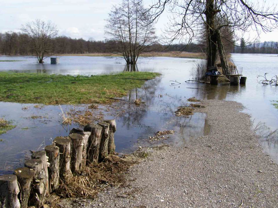 LJ Barje feb 2014 - foto povečava