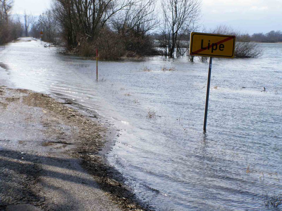 LJ Barje feb 2014 - foto povečava