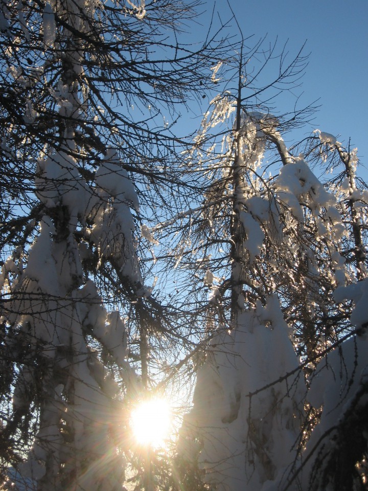 Uršlja08 - foto povečava