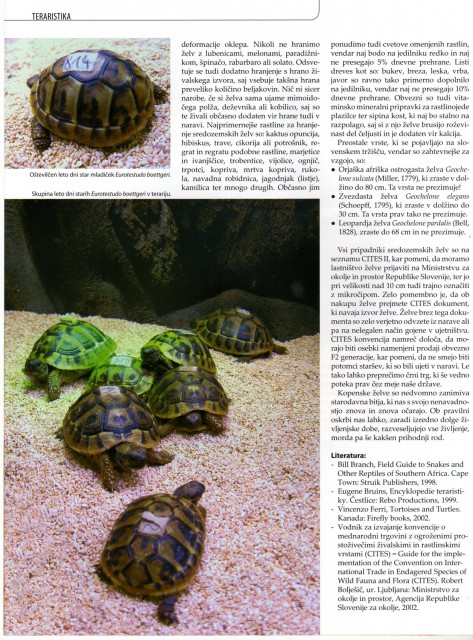 članek iz revije akvarij