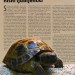 članek iz revije akvarij