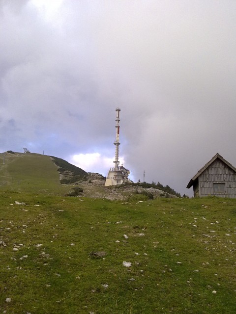 Bingo črn - foto