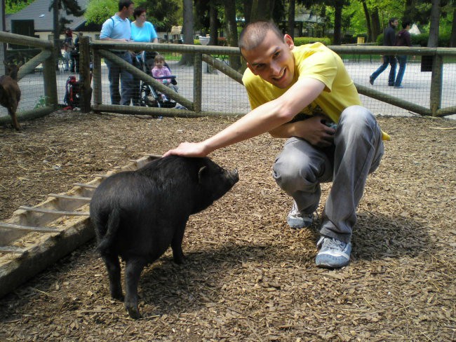 Malo zmešano :) - foto povečava