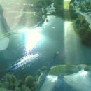 ribnik  v olimpiskon parki