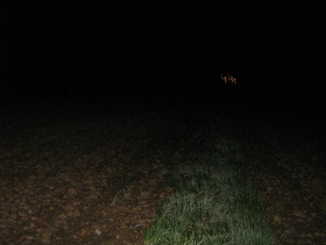 Velka Noč 2007 - foto povečava