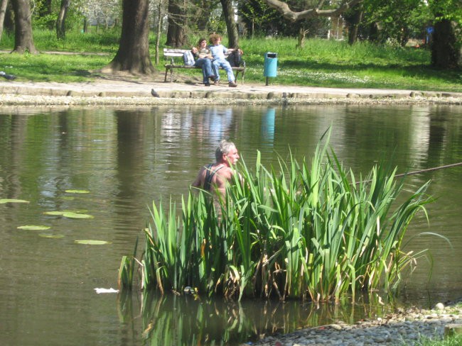 Pijančevanje po MS in okolici - foto povečava