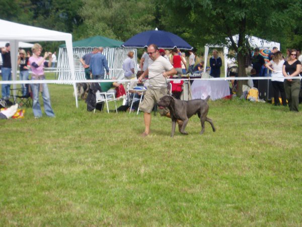 CAC Trbovlje 2006 - foto