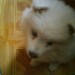 Nala 2 meseca in pol