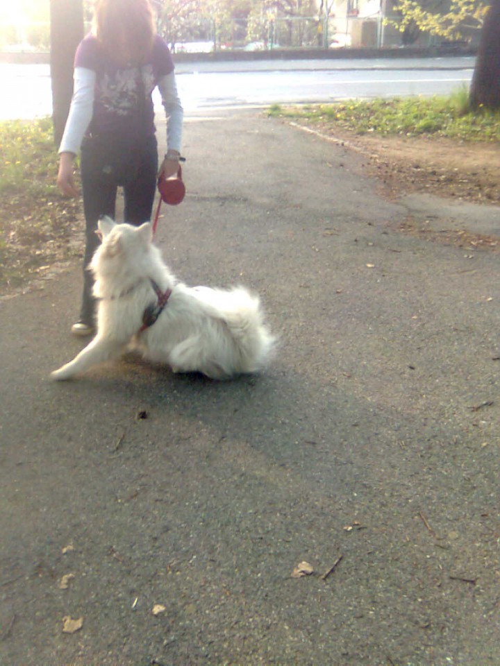 Nala preval in vleka rolerjev z mojo frendico - foto povečava