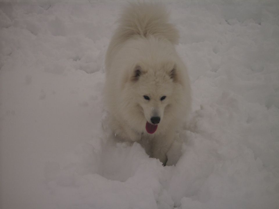 Nala na počitnicah (Murska sobota-toplice) - foto povečava