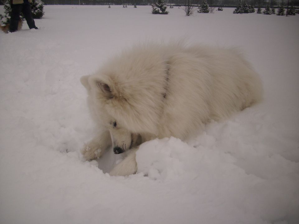 Nala na počitnicah (Murska sobota-toplice) - foto povečava