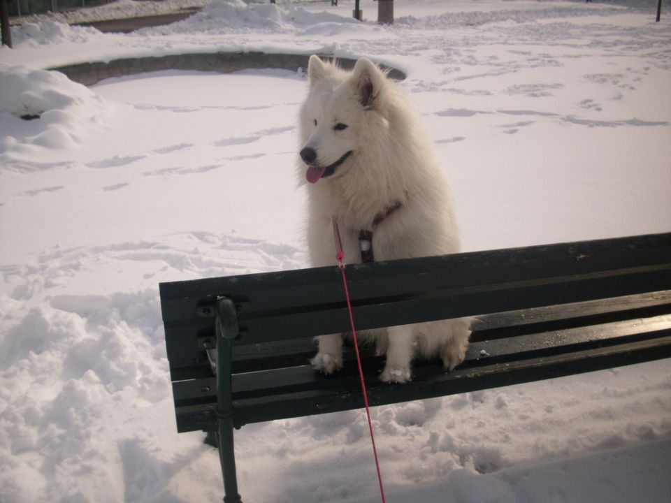 Nala na počitnicah (Murska sobota-toplice) - foto povečava