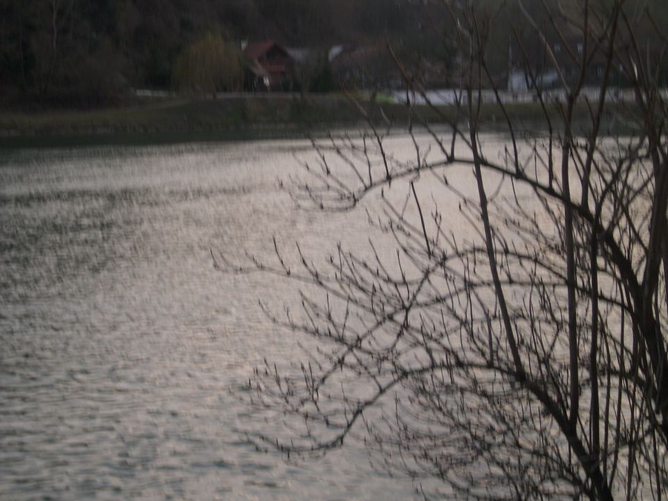 Nala pri reki Dravi-izlet - foto povečava
