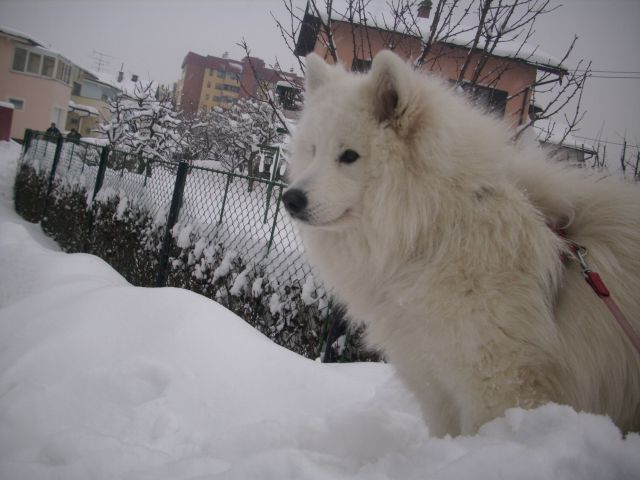 Zima 2010 - foto