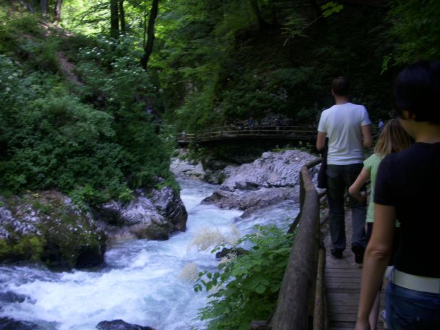 Gorenjska 2010 - foto