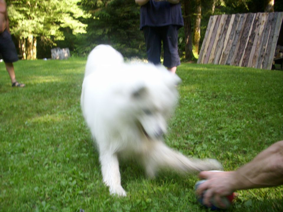 Sprehod ter izlet pod Šumikom - foto povečava