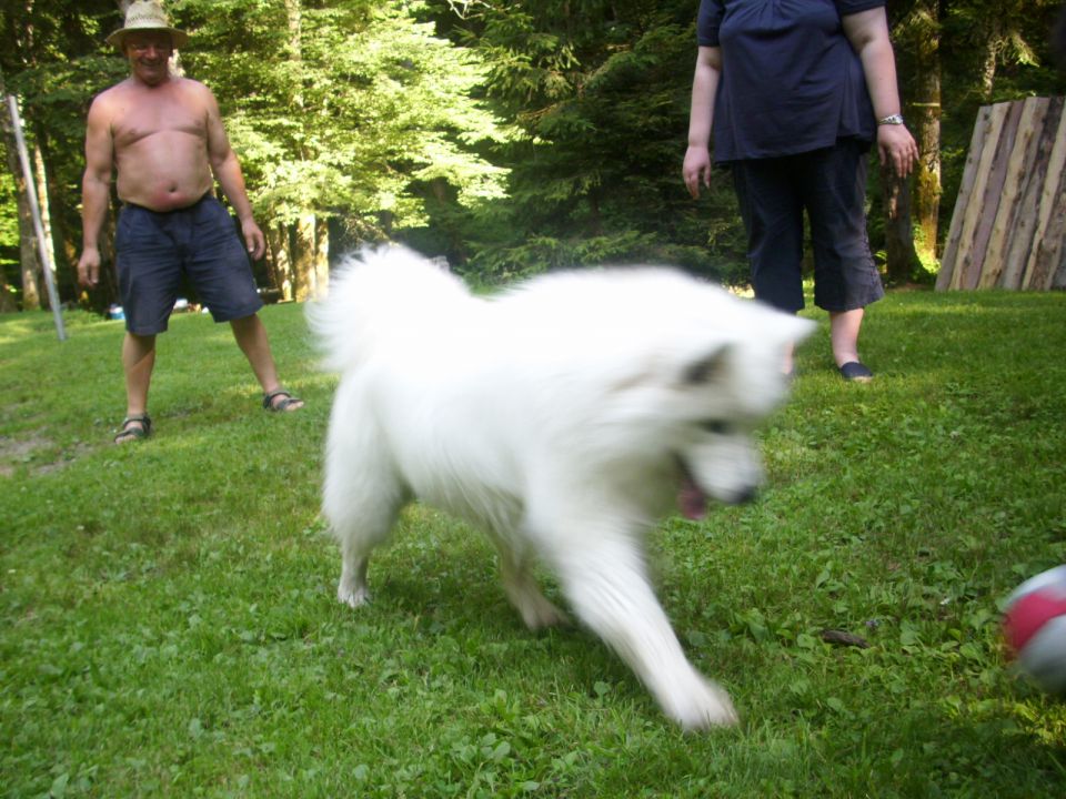 Sprehod ter izlet pod Šumikom - foto povečava