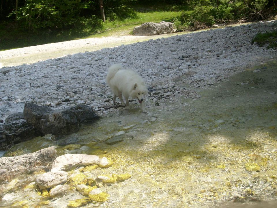 Gorenjska album 2 - foto povečava