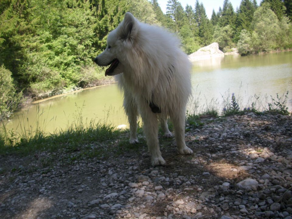 Gorenjska album 2 - foto povečava