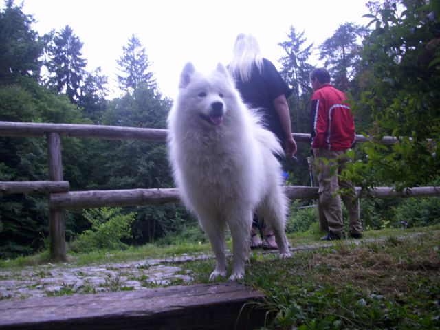 Izlet ( Pod Pohorjem in za ribnikom) - foto
