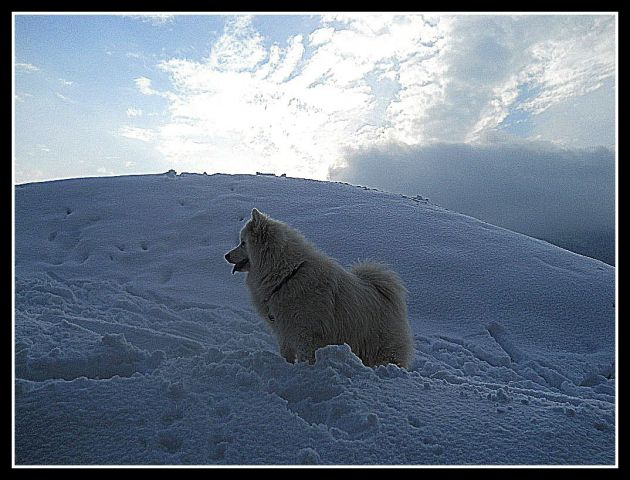 Zima - foto