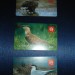 telephone cards (exchange for stamps)