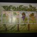 Slovenian stamps for exchange
