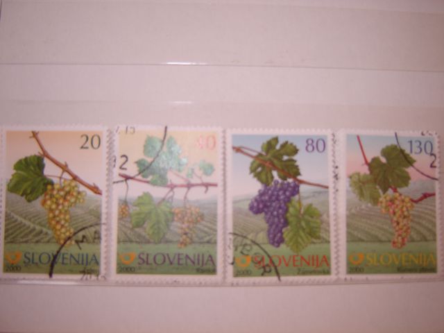 Slovenia cto (exchange 1:1)