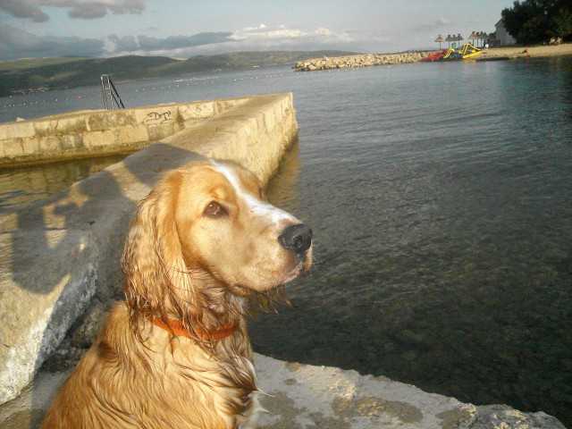 Lino na morju - foto